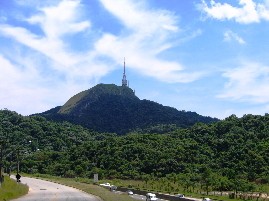 Pico do Jaraguá cercado por vegetação
